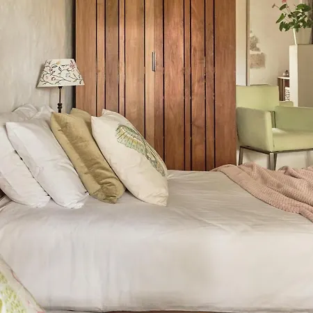 Chateau De Puissentut Bed & Breakfast *