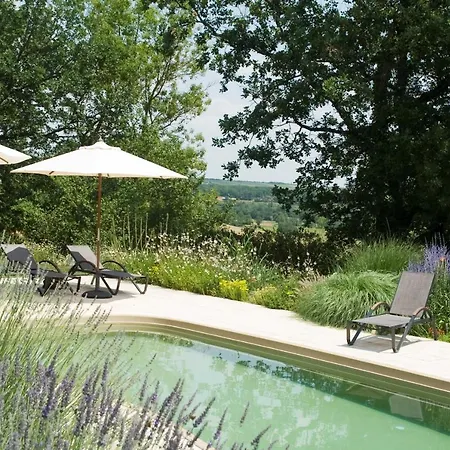 Chateau De Puissentut Bed & Breakfast Homps (Gers)